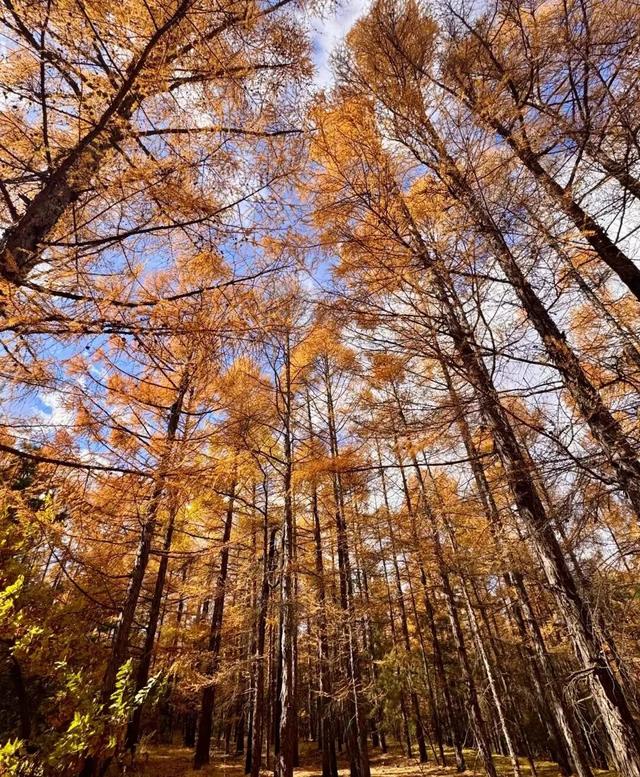 看，延吉秋景深藏诗意！