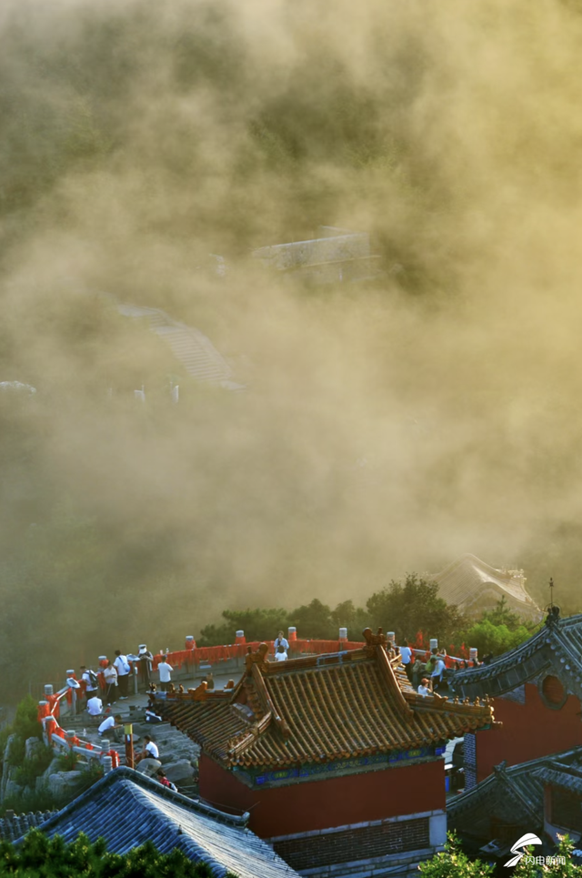 组图丨泰山云雾锁峰峦 静谧景致醉游人