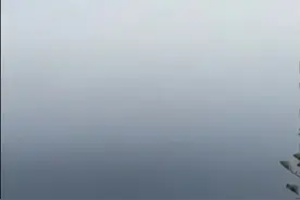 悉尼上空出现外星飞船？专家称是一朵云，网友：快给外星人备啤酒图片