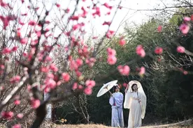 河南济源市：农文旅体康融合 且以诗意共远方图片