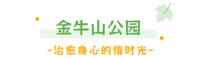 藏在乳山各处的温柔｜这些公园，让心情慢下来