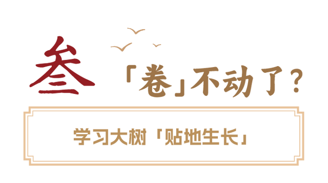 东湖非常规「打野」指南，实测全网无代餐