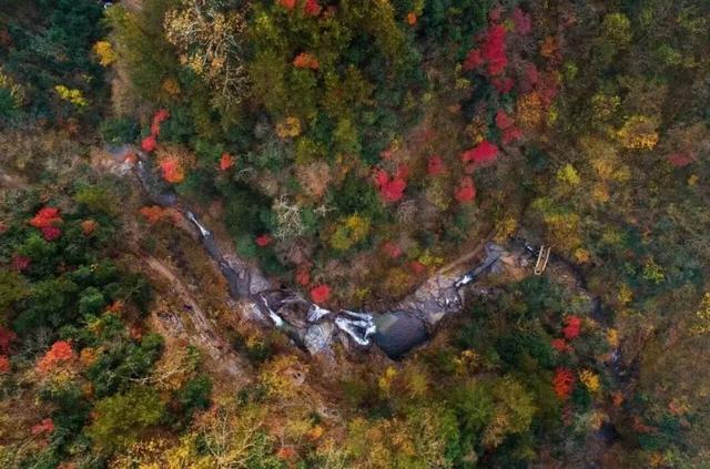 出片率100%！湖北的秋天太卷了