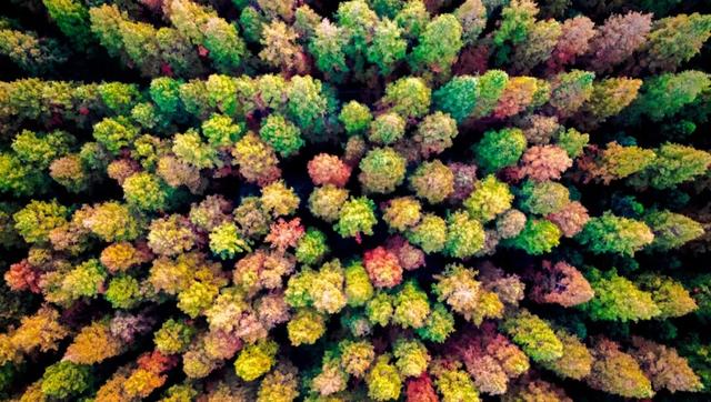 “域见上海”第一届旅游攻略超级大赛报名攻略→