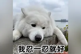 “孩子在学校总憋尿！”你家娃有遇到吗？上课时为何不能上厕所？图片