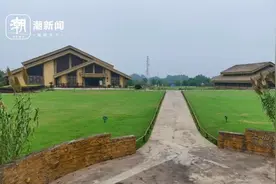 水稻在这里种了上万年！上山遗址各种水稻喜迎丰收图片
