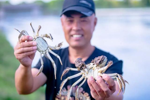 罗泾这5个宝藏村落，秋日chill感满分！一起来打卡吧~