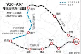 “武汉‌⇋‌武汉”环线高铁，来了图片