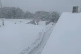郑州出现大暴雪，河南局地积雪深度超20厘米图片