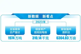 云南粮食生产不断提升持续突破图片
