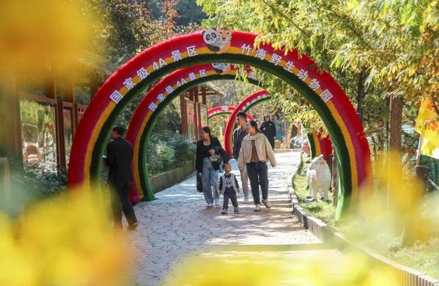 这里红叶进入“巅峰”，抓紧时间，真的会落！