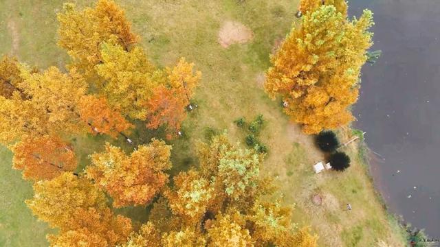 仪陇的秋天很美啊!