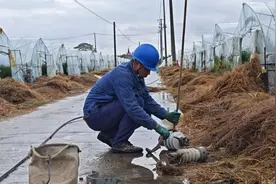 停电、漏雨、电梯罢工……台风天里的这些突发情况如何应对？图片