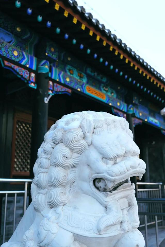 来呼和浩特的理由又多了一个️⇒ 这两处雪景打卡点太好拍了