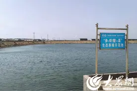 青岛农品调研记|③12年磨一参，瑞滋刺参是怎样“炼”成的？图片