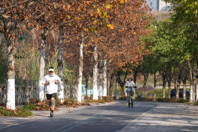 重庆：修复“生态廊道”  打造文旅新场景、新地标