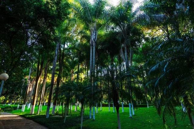 别宅家！赴一场20℃的暖冬旅居之约