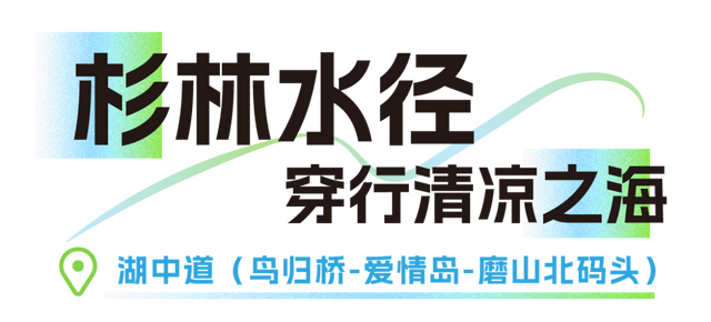武汉绝美「海上公路」，就在东湖！