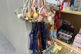 记者探访合肥养犬现状：疫苗接种量增多，防狗神器热销图片