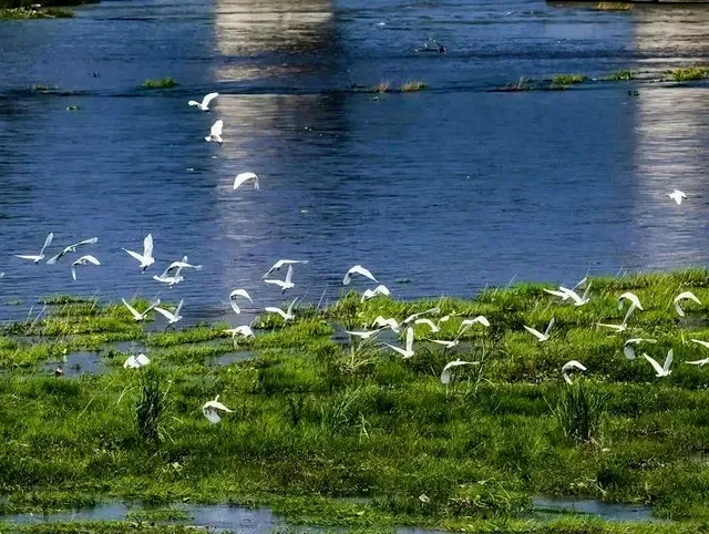 新津人速藏！冬日公园晒太阳的神仙去处