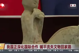 我国正深化国际合作 铺平流失文物回家路视频封面