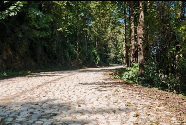 腊勐暖冬邀请函：这个冬天，赴龙陵之约