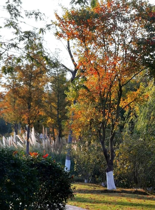 别眨眼，接下来的新干是这样的→