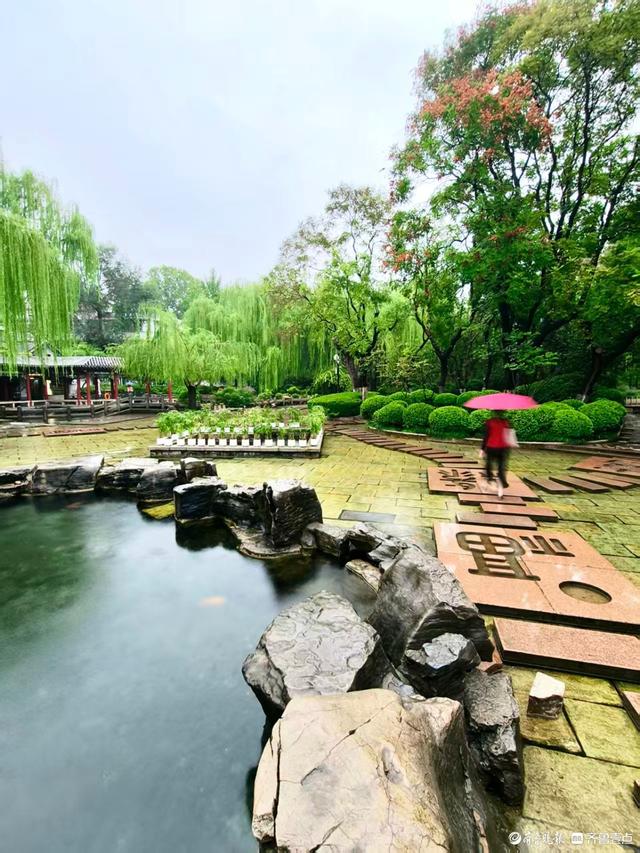 济南雨中的五龙潭公园更美丽