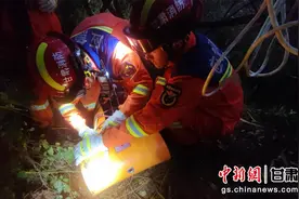 甘肃宁县：村民进山采摘坠沟 消防部门紧急救援图片