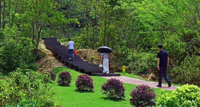 央视大片《珠江》里的花都③：珠江畔的生态诗篇