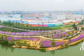 江海：建设绿美江海，赋能三产融合发展图片