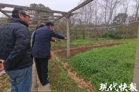 把课堂搬进花田，南京红山街道劳动实践基地迎来第一课图片