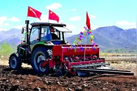 西藏拉萨林周县松盘乡松盘村：牦牛养殖 助村民增收图片