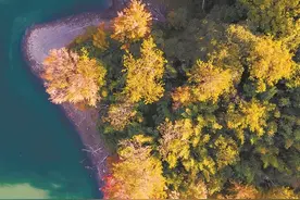 读懂广州·粤韵｜青山嵌入城 风物此间多图片