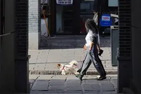 长沙潮宗街：四月的风，吹来了满街的故事与温柔图片