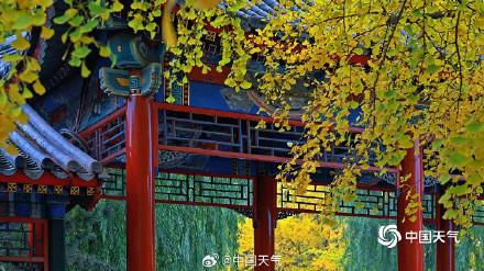 绝美！打卡中山公园秋日视觉盛宴