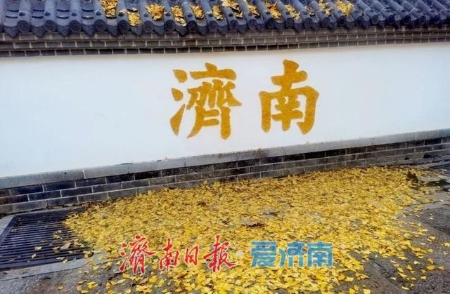 邂逅落叶的浪漫！公园景区解锁秋冬限定景色 | 一年四季 泉在济南