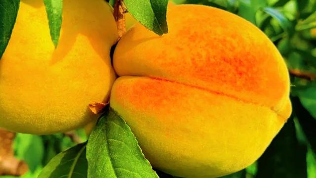 荆州人，快来打开你的夏日限定相册！