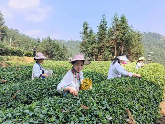 双节融水8天游“保姆级”攻略 听我的不踩坑、不纠结、直接抄