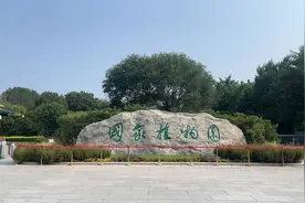 国家植物园里有什么？走进植物界的“活化石”水杉图片