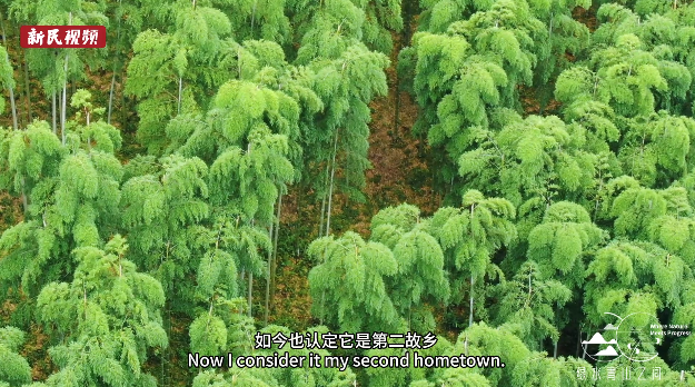 山居如归丨尼泊尔准奶爸落脚莫干山，享受慢生活