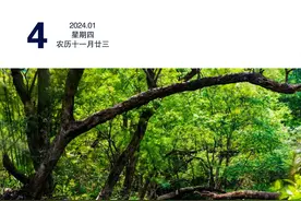 市区周边将新增一温泉项目！图片