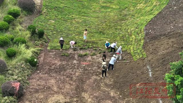 泸州又一新消费场景即将呈现！10月来这里看萤火虫
