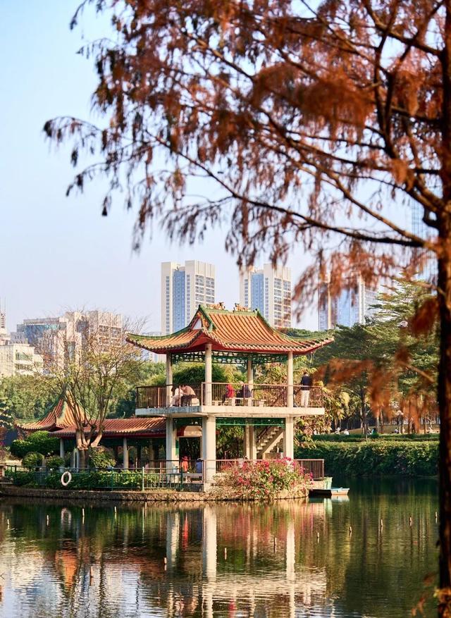 没人觉得龙岗的能量场很高吗？