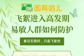 信号山：雾炮车上阵治絮 青岛解决飞絮烦恼还需更多耐心图片