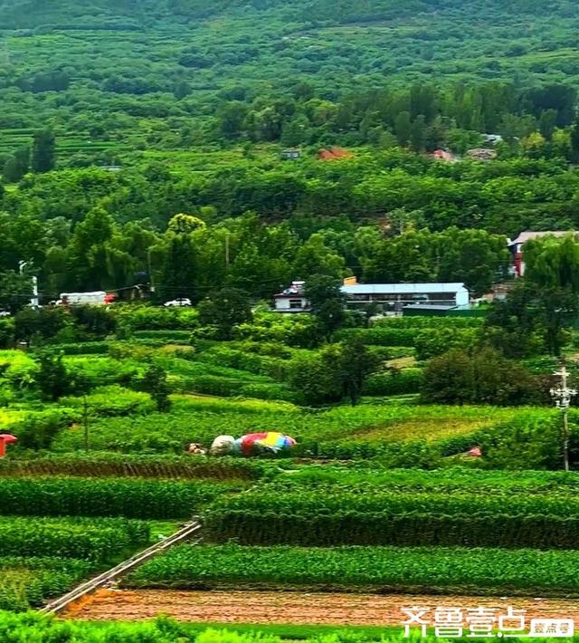 壹点号·秀山东丨济南“后花园”大美仲宫