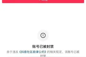 潮评丨“胖猫”姐姐购买流量攻击女方，网暴找不回正义图片