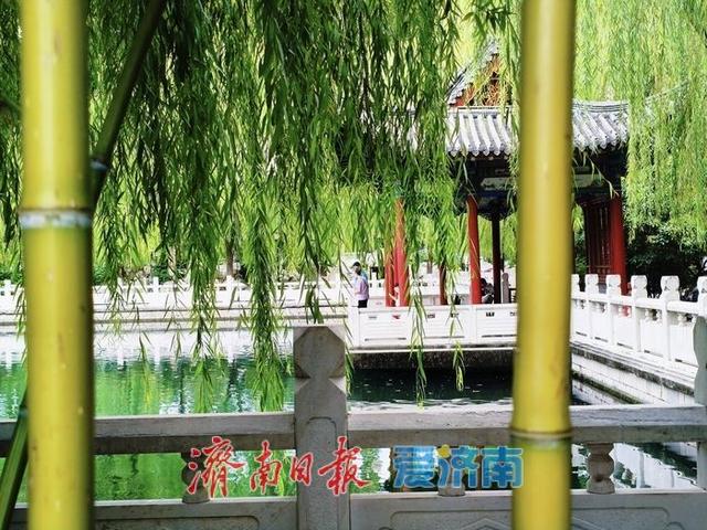 一年四季 泉在济南丨老街新韵，绽放泉城魅力