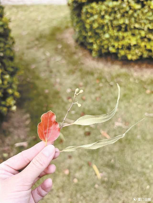 留住秋日浪漫！这份“捡秋”地图请查收