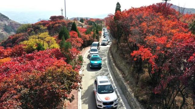 驾游齐鲁，心途相逢！2025山东旅游风景道“旅行+”驾享季即将开幕